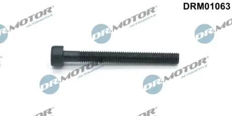 Болт з фігурною головкою DR MOTOR DRM01063 (фото 1)
