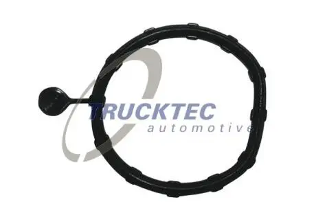 Прокладка системи охолодження Trucktec automotive 02.19.346
