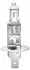 Автолампа Behr H1 P14,5s 70 W прозрачная HELLA 8GH002089491 (фото 2)
