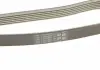 Ремень генератора поликлиновый DAYCO 6PK2160S (фото 4)