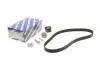 РМК ГРМ Z=123 + ролики RENAULT Clio/Kangoo I/II/Logan/Duster \'\'1.5dci 1987946672