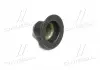 Сальник клапана IN/EX OPEL Z22SE 2,2 16V D1 6mm D2 10mm D3 25mm висота 16mm CORTECO 49472876 (фото 3)