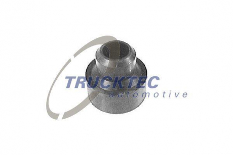 Уплотняющее кольцо Trucktec automotive 02.13.034