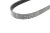Фото 3 - ремень (поликлиновый) HUTCHINSON 716 SK 5 Ремень (поликлиновый) HUTCHINSON 716 SK 5 (фото 3)
