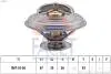 Термостат BMW 3(E36)/5(E39) 1.6-2.8 и 89-00(92C) с прокладкой 7.8302S
