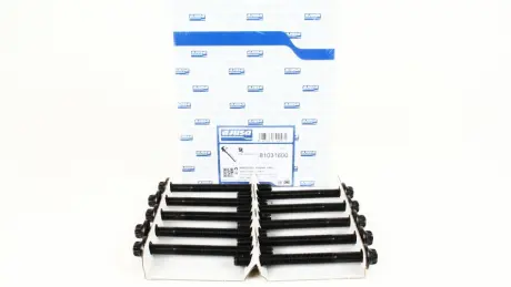 Болты головки блока Master/Trafic 2.5dCi 00- (к-кт) AJUSA 81031600
