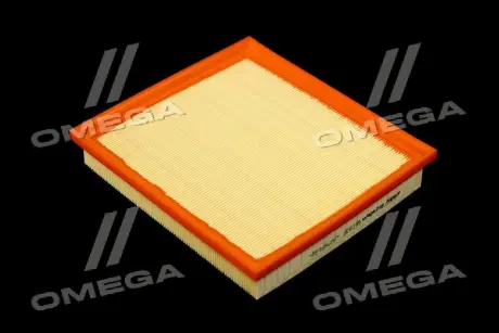 Фильтр воздушный ExtraClean Professional RIDER REC130190