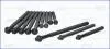 Болты головки блока BMW 1/3/5/X1/X3 1.6-2.0 i 00-15 81044900