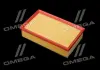 Фильтр воздушный ExtraClean Professional RIDER REC130252 (фото 3)