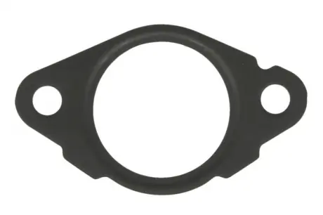 Прокладка, натягувач ланцюга ELRING 484.660