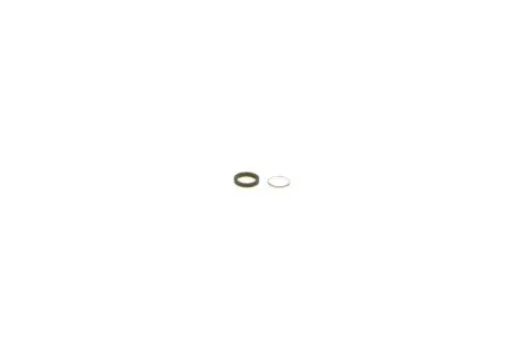 Елемент форсунки Common Rail BOSCH F00RJ02772 (фото 1)