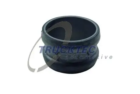 Патрубок системи охолодження Trucktec automotive 01.19.238 (фото 1)
