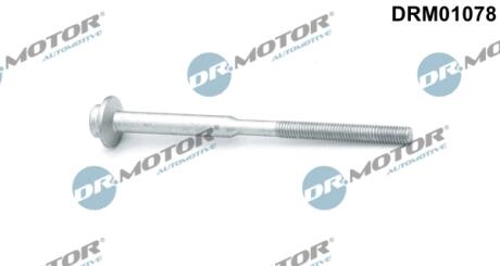 Болт з фігурною головкою DR MOTOR DRM01078