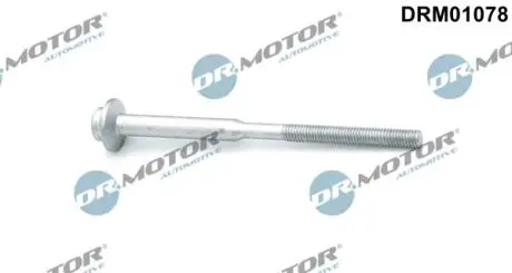 Болт з фігурною головкою DR MOTOR DRM01078 (фото 1)