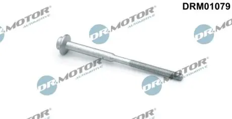 Болт с фигурной головкой DR MOTOR DRM01079