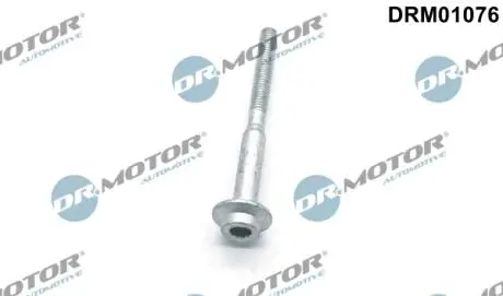 Болт з фігурною головкою DR MOTOR DRM01076 (фото 1)
