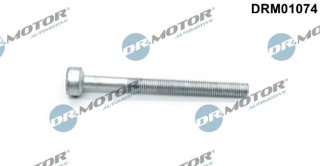 Болт з фігурною головкою DR MOTOR DRM01074