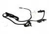 Датчик ABS Toyota Camry 2.0 (01-06),Toyota Camry 2.4 (01-06) Japko 151286 (фото 3)