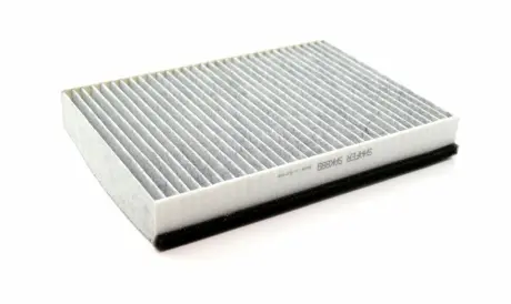 Фото 1 - фільтр салону Fiat 500L, 500X; Jeep Compass II, Renegade, 12-, (USA), вугільний SHAFER SAK889 Фільтр салону Fiat 500L, 500X; Jeep Compass II, Renegade, 12-, (USA), вугільний SHAFER SAK889 (фото 1)