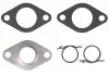 Уплотнение клапана EGR V10639127