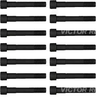 Комплект болтов головки цилиндров VICTOR REINZ 14-55065-01