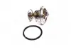 Термостат FORD Fiesta V / Fusion (11/01-12/14) (вір-во MEYLE) 728 228 0007