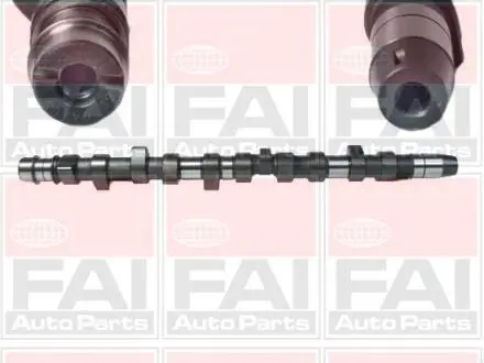 VW Распредвал Audi 100,A6,Crafter,LT28-46,T4,Volvo 850,S70/80,V70 2.5TDI FAI C231