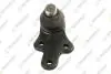 TEKNOROT FORD Шаровая опора прав.C-Max,Focus 10- FO-495