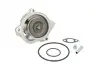 MAGNETI MARELLI Помпа воды  VW T2 [352316171169] 352316171169