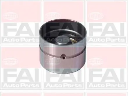VW Гидрокомпенсатор (к-кт 8шт.) 1.6D/2.4D FAI BFS66