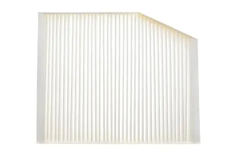 ALPHA FORD Фильтр салона Transit,Tourneo 12- ALPHA FILTER AF5220 (фото 1)