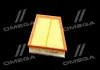 Фільтр повітряний ExtraClean RENAULT RIDER REC130231 (фото 2)