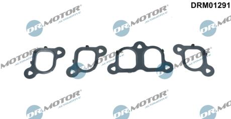 Комплект прокладок з різних матеріалів DR MOTOR DRM01291