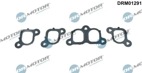 Комплект прокладок из разных материалов DR MOTOR DRM01291