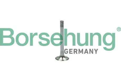 Клапан выпускной Borsehung B18999