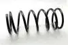 JAPANPARTS пружина зад. MITSUBISHI PAJERO II ZC5962D