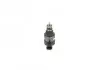 Елемент системи Common Rail BOSCH 0281006198 (фото 1)