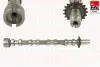 CITROEN Распредвал C5 II 2.2 HDi 06-08, C6 2.2 HDi 06-12, FIAT ULYSSE 2.2 JTD 08-11, FORD MONDEO IV 2.2 TDCi 10-15, LAND ROVER, MITSUBISHI, PEUGEOT FAI C364 (фото 1)