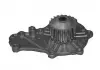 CITROEN Помпа воды BERLINGO,C2,C3,C4,C5,JUMPY,XSARA FIAT SCUDO, FORD X-MAX,FIESTA,FOCUS,FUSION MAZDA 2,3,5 M [352316170919] MAGNETI MARELLI WPQ0919 (фото 1)