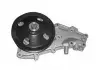 MAGNETI MARELLI Помпа воды RENAULT 9,11,19,21,CLIO,RAPID,SUPER 5 [352316170956] 352316170956