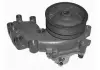 FIAT Помпа воды без корпуса! Tempra 1.9 TD 90- [352316170296] MAGNETI MARELLI WPQ0296 (фото 1)
