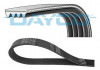 Ремінь поліклиновий DAYCO 4PK890EE (фото 1)