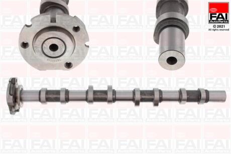 FORD Распредвал TRANSIT 2.4 DI 00-06, TRANSIT 2.4 TDE 01-06 FAI C251
