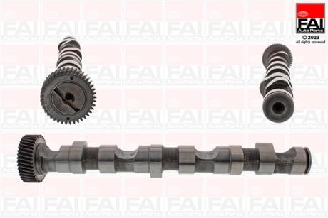 VW Распредвал Audi A4/6/8,Passat,Skoda SuperB I 2.5TDI FAI C246