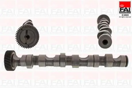 VW Распредвал Audi A4/6/8,Passat,Skoda SuperB I 2.5TDI FAI C247