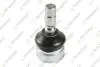 TEKNOROT FORD Шаровая опора Mustang 05- FO-635