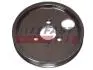 Шків насоса ГПР Fiat/PSA 2.2Jtd/2.2HDi (06-) (FT45597) Fast