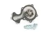 Насос водяной Ford Transit Connect (13-) 1.0 ECOBOOST (FT57189) Fast