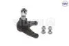 Опора кульова (передня/знизу) Ford Ranger 05-12 3883