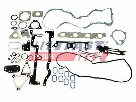 Комплект прокладок двигателя FORD TRANSIT 06&gt; ПОВНИЙ 2.4 TDCi 4x4 FAST FT48073 (фото 1)